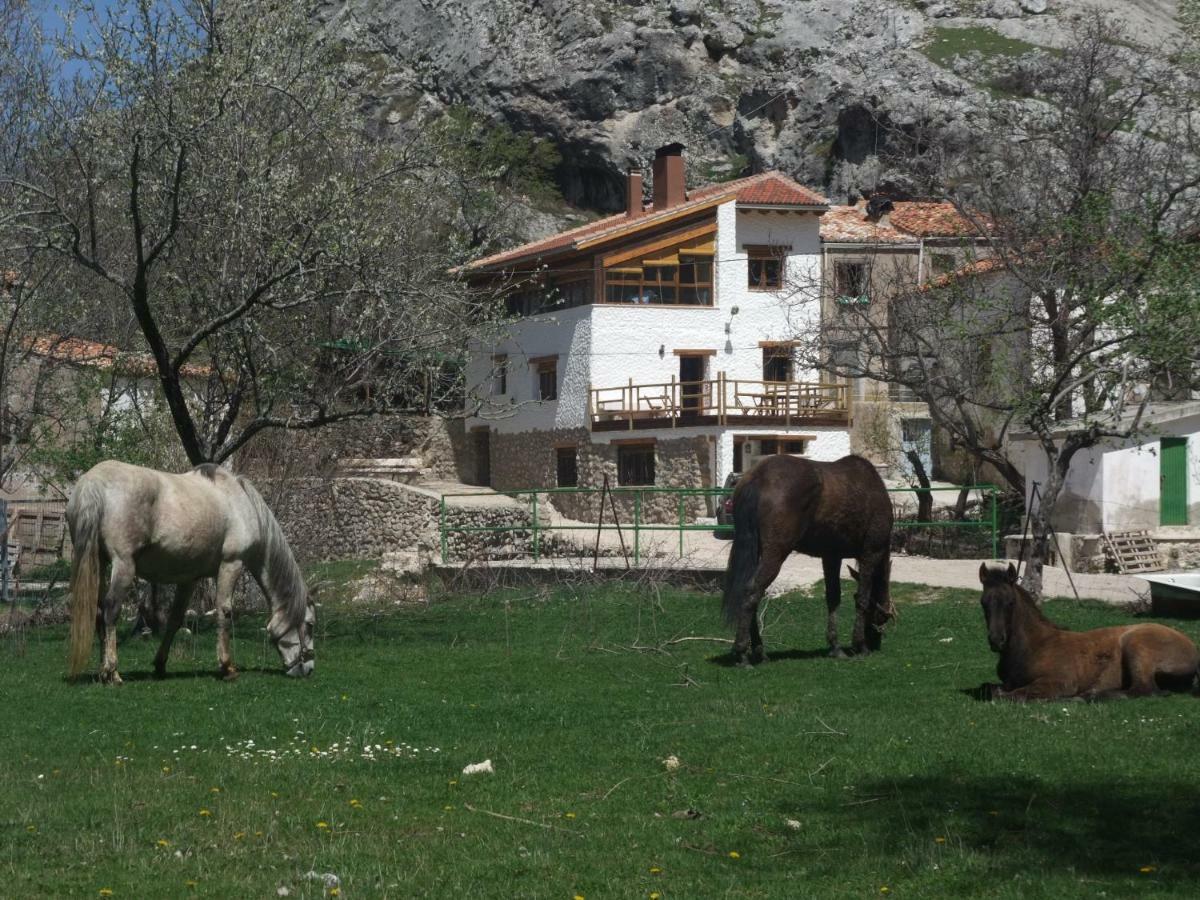 Casas Rurales El Nacimiento Pontones  Zewnętrze zdjęcie