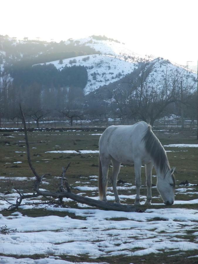 Casas Rurales El Nacimiento Pontones  Zewnętrze zdjęcie